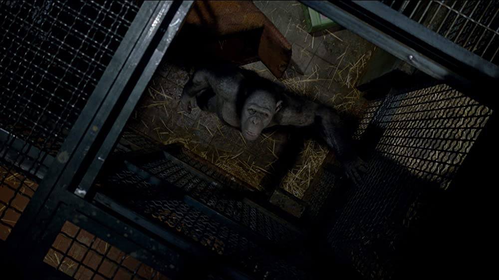 猿の惑星：創世記（ジェネシス）の画像