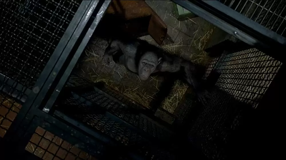 「猿の惑星：創世記（ジェネシス）」テリー・ノタリーの画像