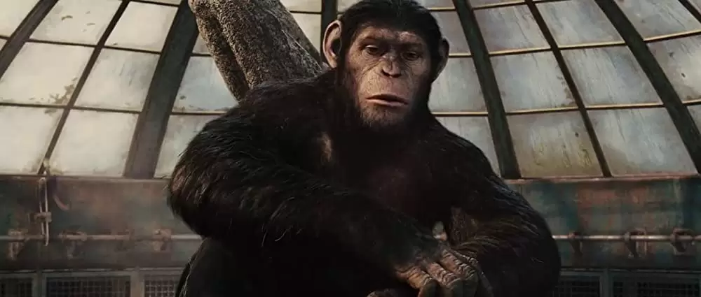 猿の惑星：創世記（ジェネシス）の画像