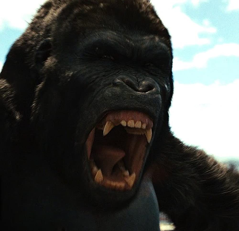 猿の惑星：創世記（ジェネシス）の画像