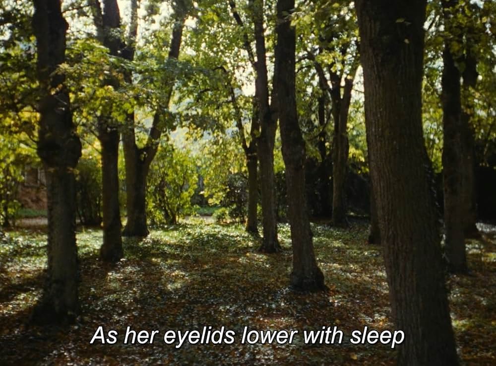 O saisons, ô châteaux（原題）の画像