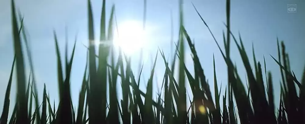 おじいちゃん、死んじゃったって。の画像