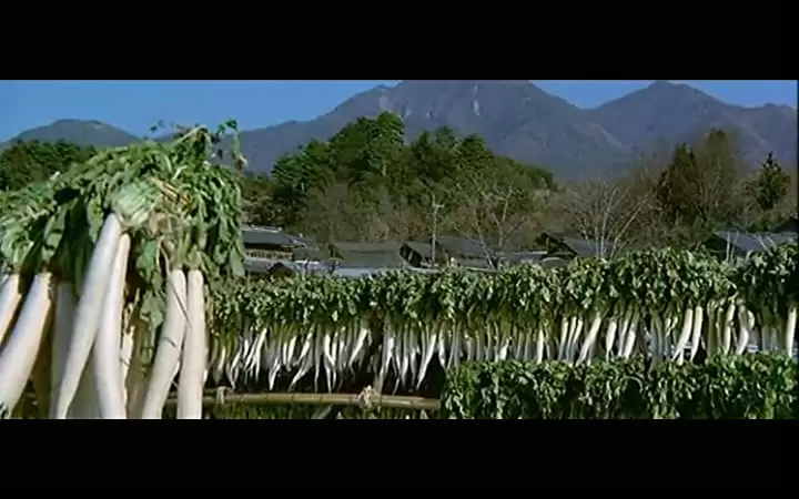 男はつらいよ 寅次郎夢枕の画像