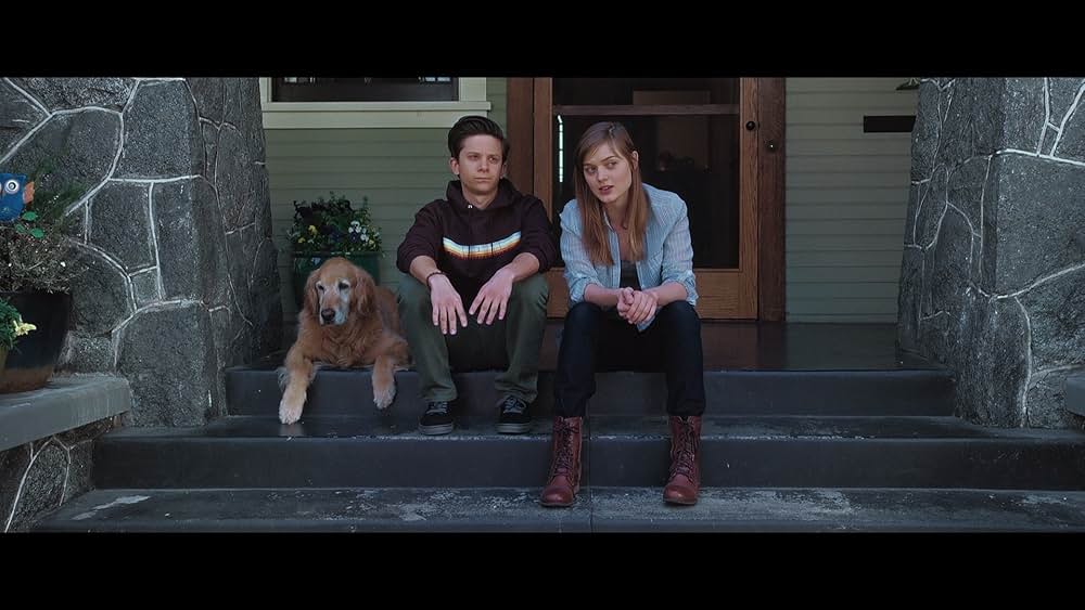 The Curse of Downers Grove（原題）の画像