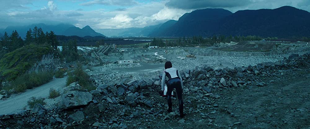 ⼭猫は眠らない8 暗殺者の終幕の画像