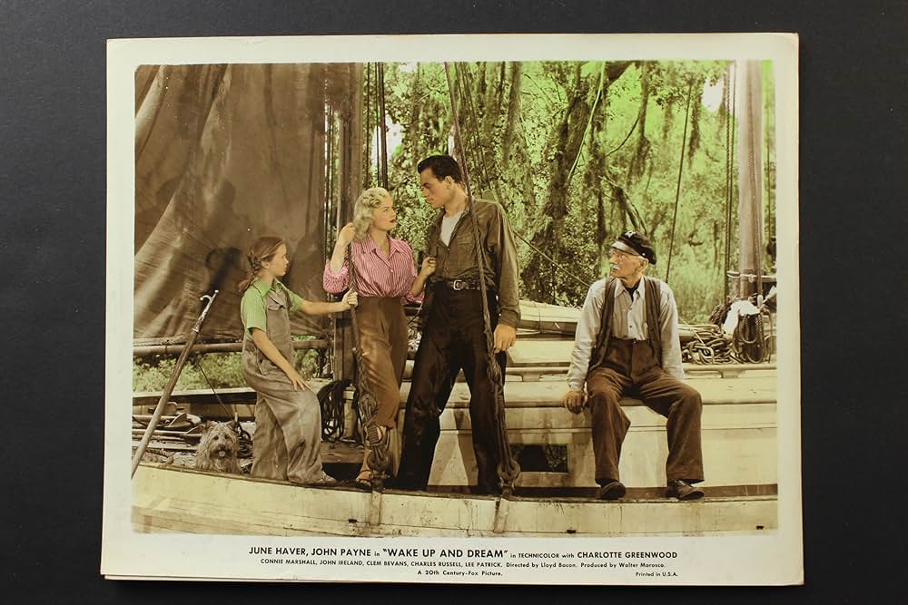 小さな漂流船の画像