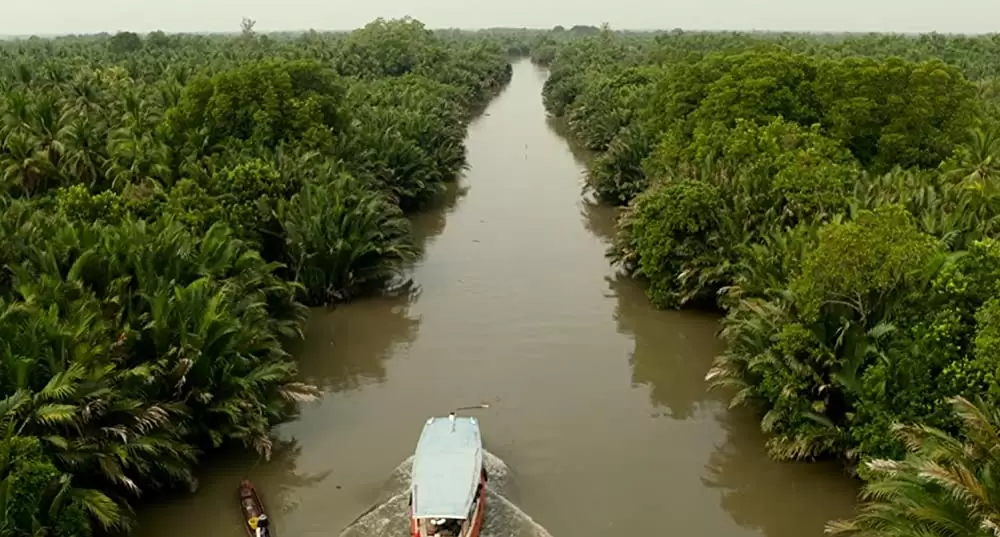 ザ・ファイブ・ブラッズの画像