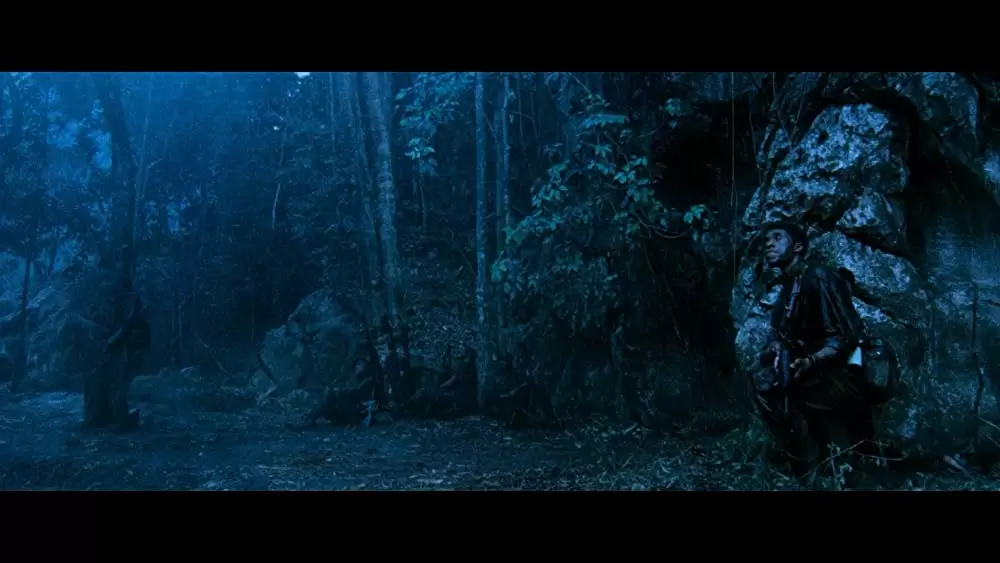 ザ・ファイブ・ブラッズの画像