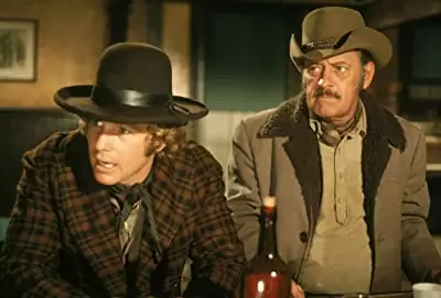 「夕陽の挽歌」ウィリアム・ホールデン & ライアン・オニールの画像