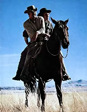 「夕陽の挽歌」ウィリアム・ホールデン & ライアン・オニールの画像