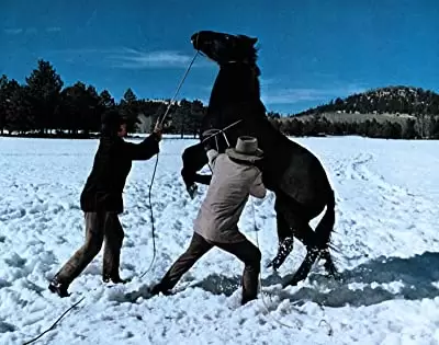 夕陽の挽歌の画像