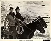 「夕陽の挽歌」ウィリアム・ホールデン & ライアン・オニールの画像