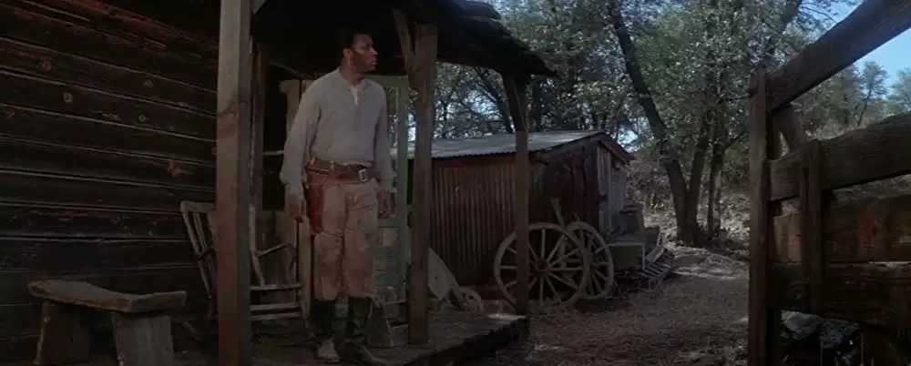 「夕陽の挽歌」ウィリアム・ホールデン & モーゼス・ガン & ライアン・オニールの画像