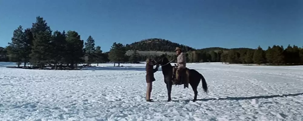 「夕陽の挽歌」ウィリアム・ホールデン & ライアン・オニールの画像