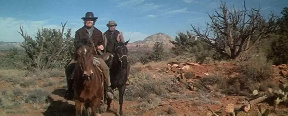 「夕陽の挽歌」ウィリアム・ホールデン & ライアン・オニールの画像