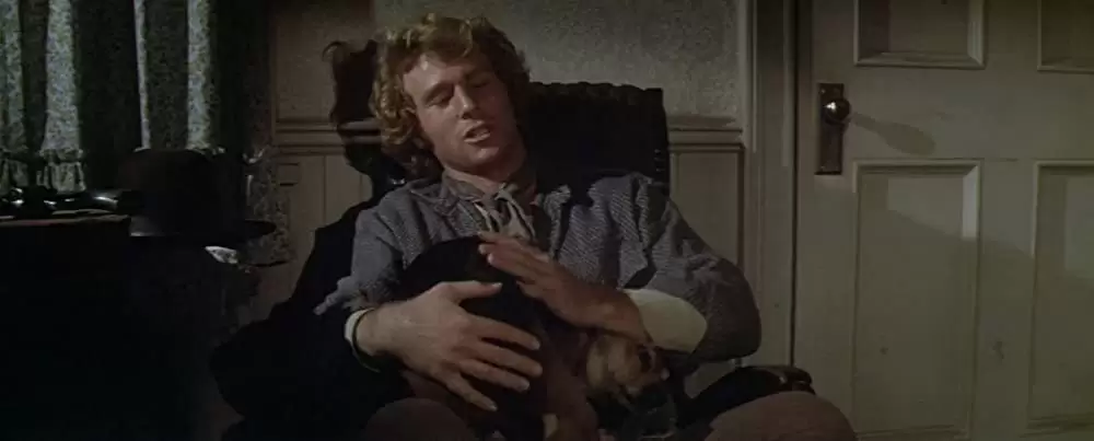 「夕陽の挽歌」ウィリアム・ホールデン & ライアン・オニールの画像