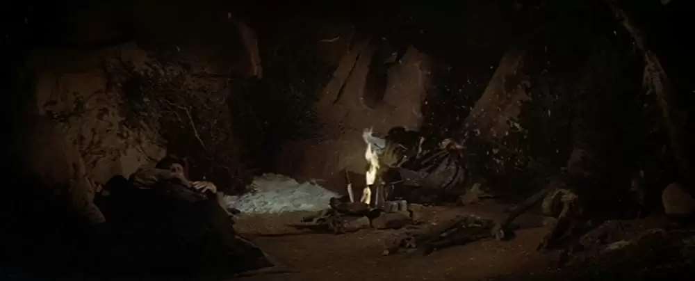 「夕陽の挽歌」ウィリアム・ホールデン & ライアン・オニールの画像