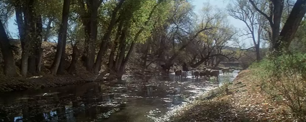 「夕陽の挽歌」ウィリアム・ホールデン & ライアン・オニールの画像