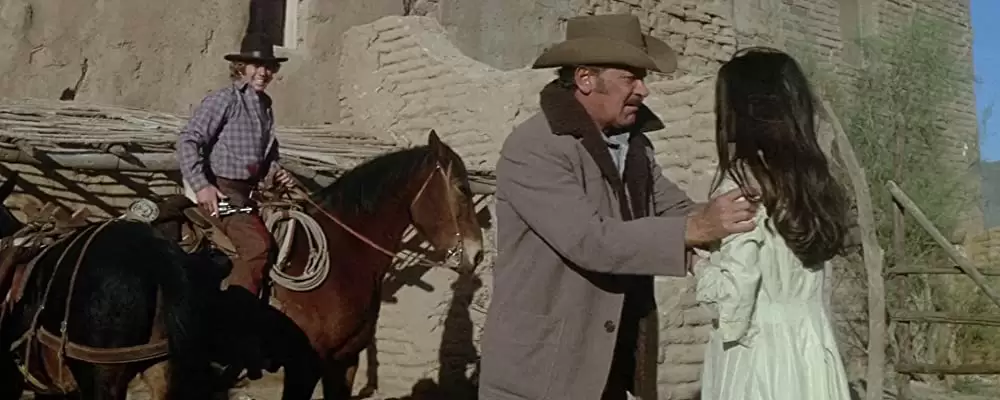 「夕陽の挽歌」ウィリアム・ホールデン & ライアン・オニールの画像