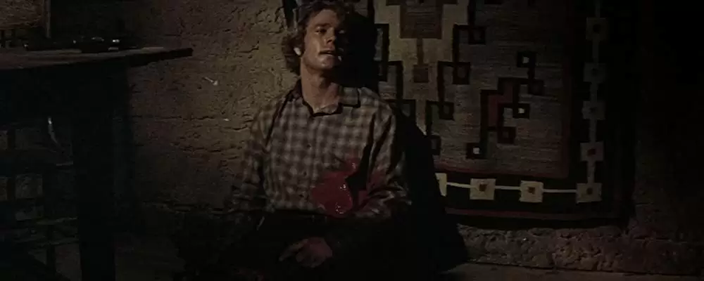 「夕陽の挽歌」ウィリアム・ホールデン & ライアン・オニールの画像