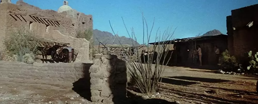 「夕陽の挽歌」ウィリアム・ホールデン & ライアン・オニールの画像