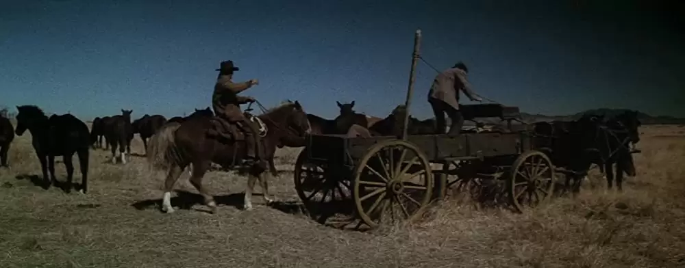 「夕陽の挽歌」ウィリアム・ホールデン & ライアン・オニールの画像