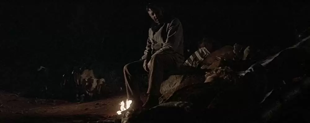 「夕陽の挽歌」ウィリアム・ホールデン & ライアン・オニールの画像