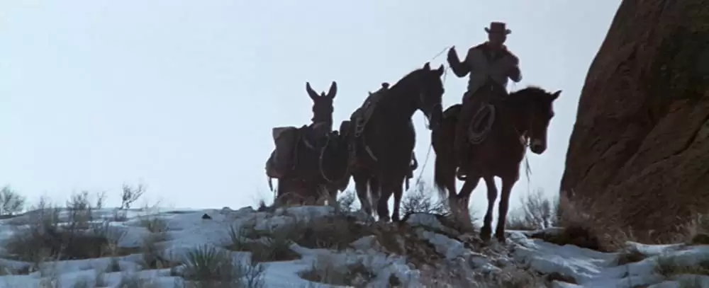 「夕陽の挽歌」ウィリアム・ホールデン & ライアン・オニールの画像