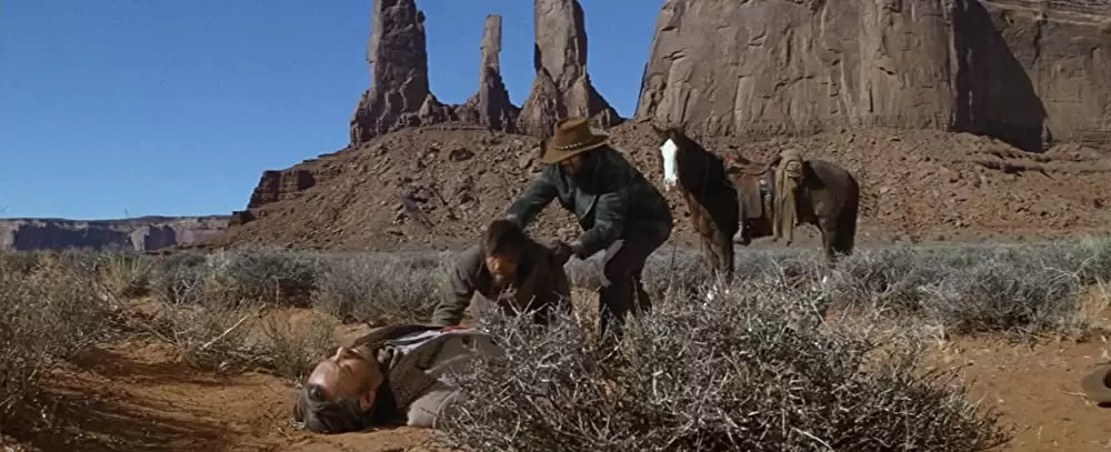 「夕陽の挽歌」ウィリアム・ホールデン & ライアン・オニールの画像