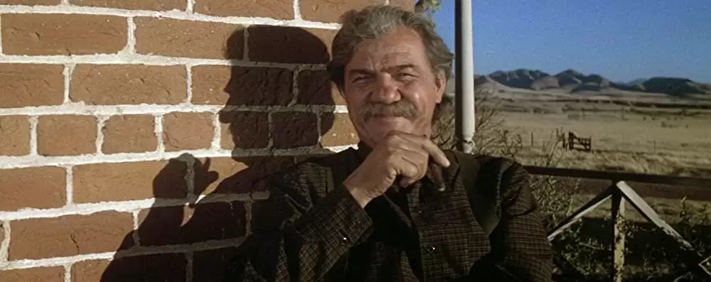 夕陽の挽歌の画像