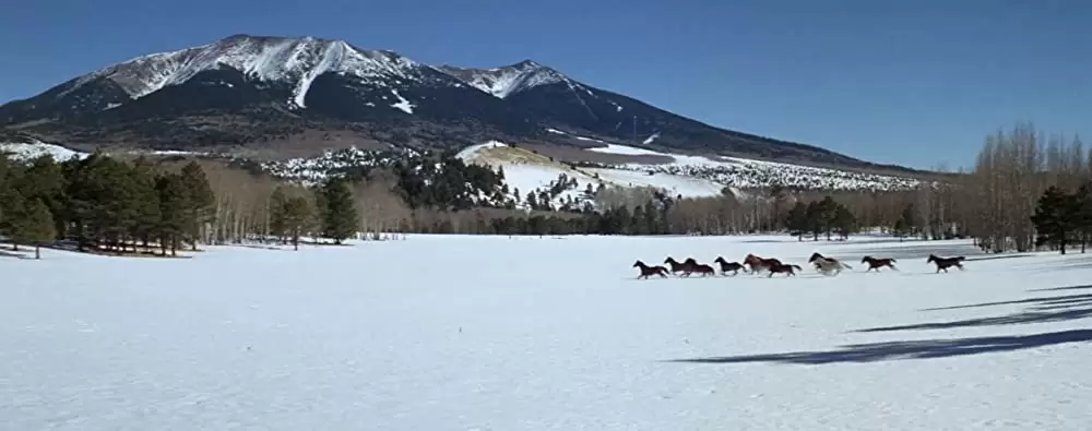 夕陽の挽歌の画像