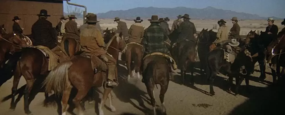 夕陽の挽歌の画像