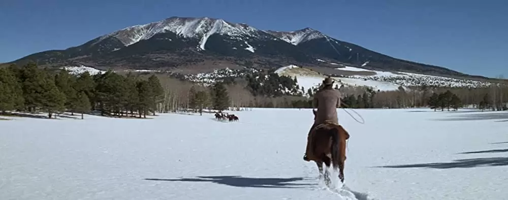 夕陽の挽歌の画像