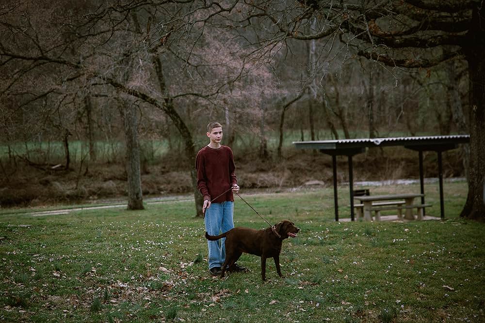 Sovereign（原題）の画像