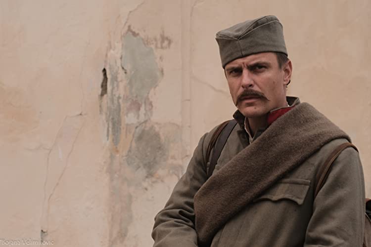 ザ・ラスト・ソルジャー 砲兵部隊・最後の英雄の画像