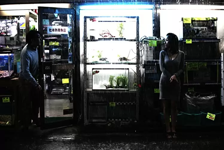 冷たい熱帯魚の画像