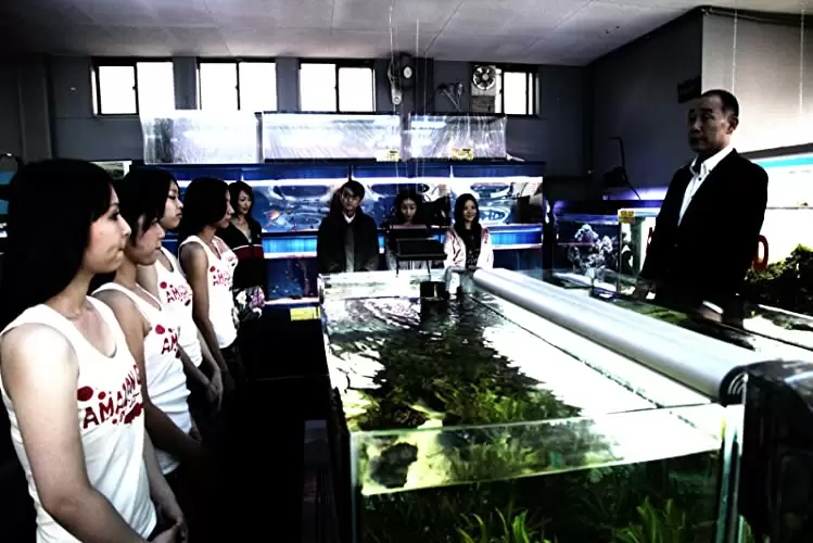 冷たい熱帯魚の画像