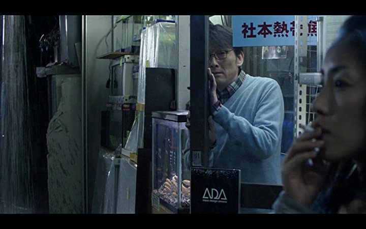 冷たい熱帯魚の画像