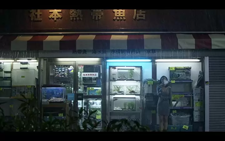 冷たい熱帯魚の画像