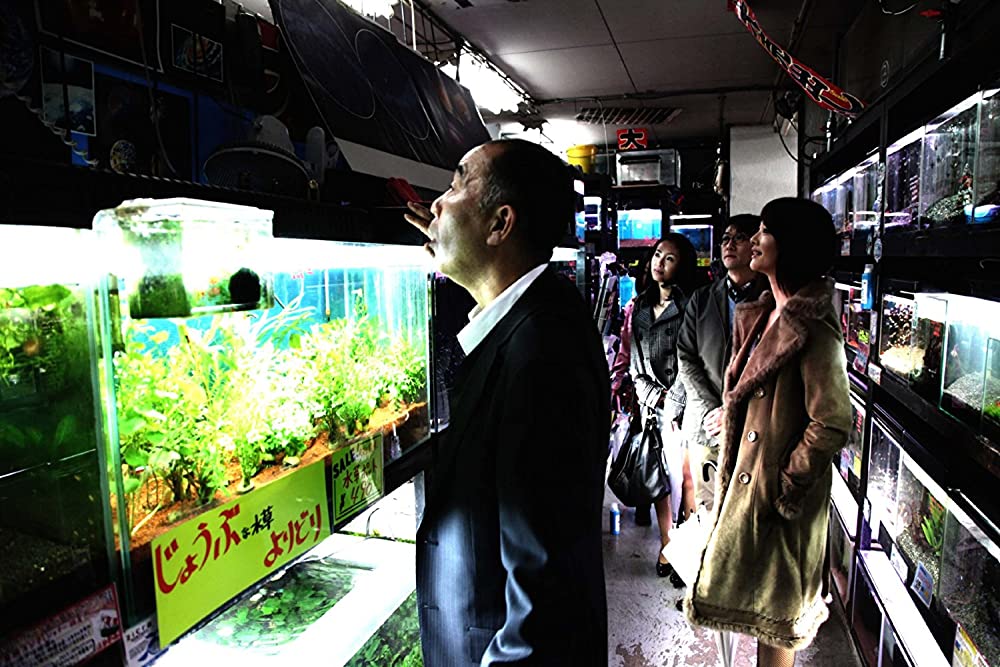 冷たい熱帯魚の画像