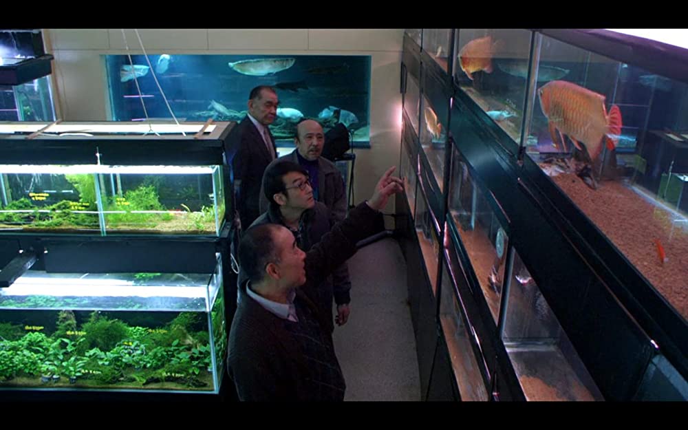 冷たい熱帯魚の画像