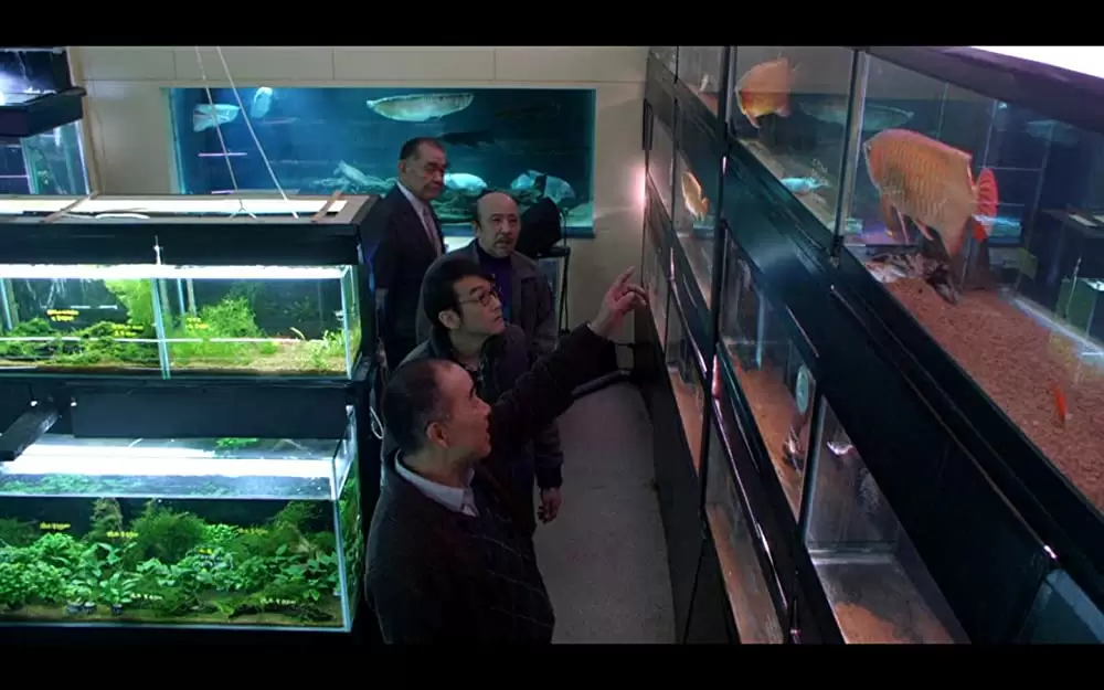 冷たい熱帯魚の画像