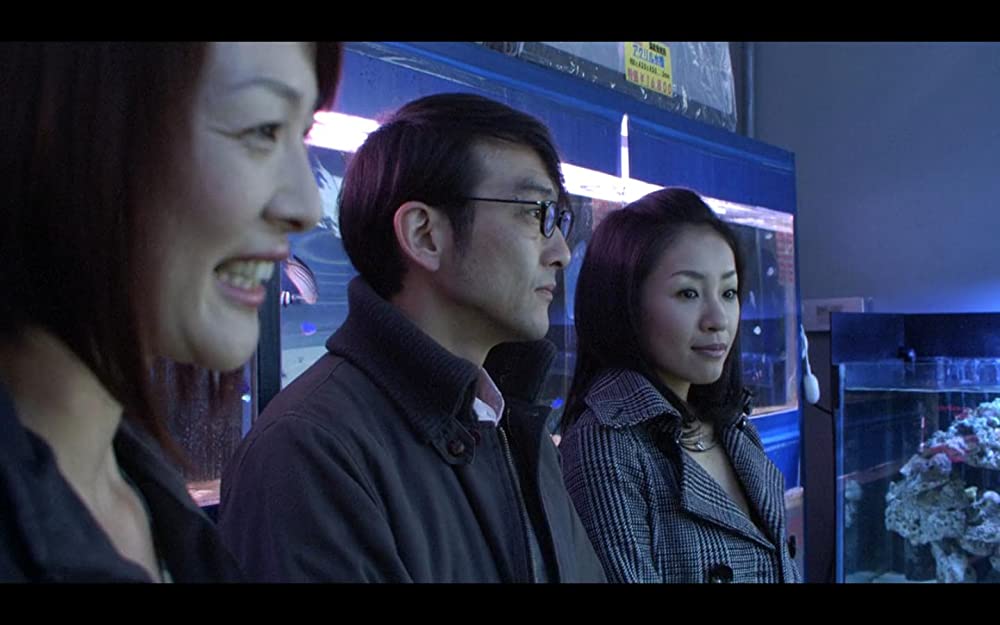 冷たい熱帯魚の画像