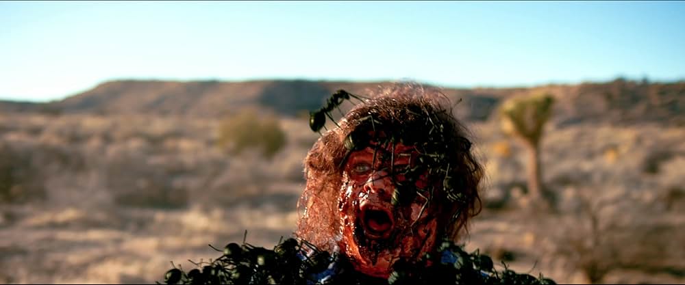 Dead Ant（原題）の画像