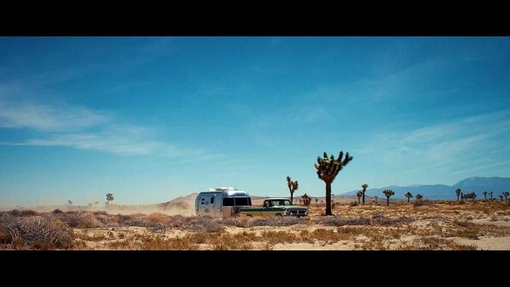 Dead Ant（原題）の画像