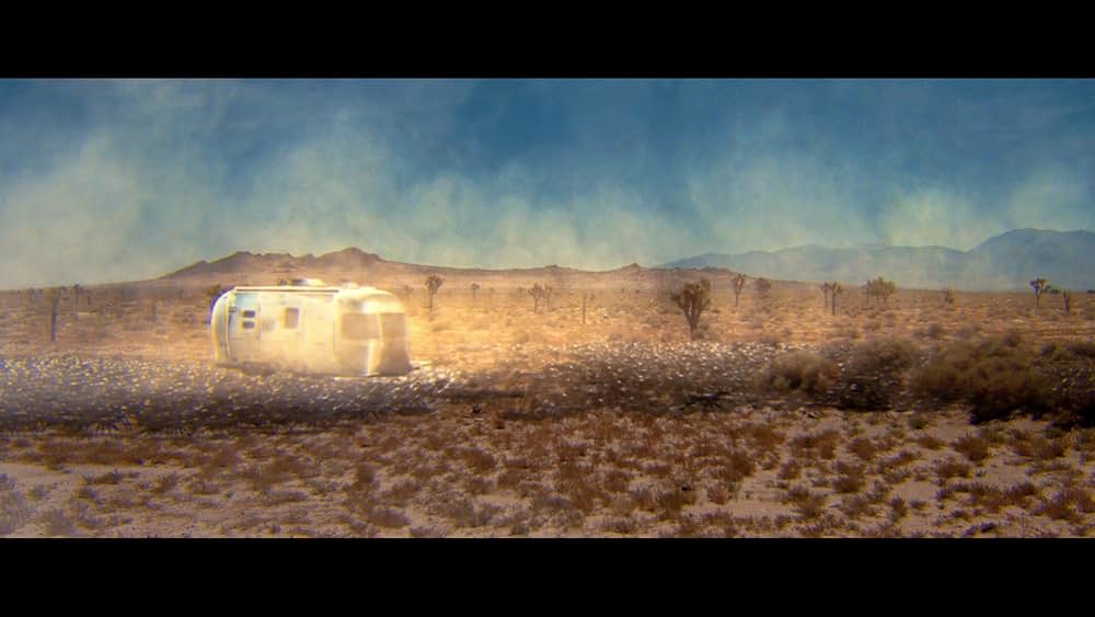 Dead Ant（原題）の画像