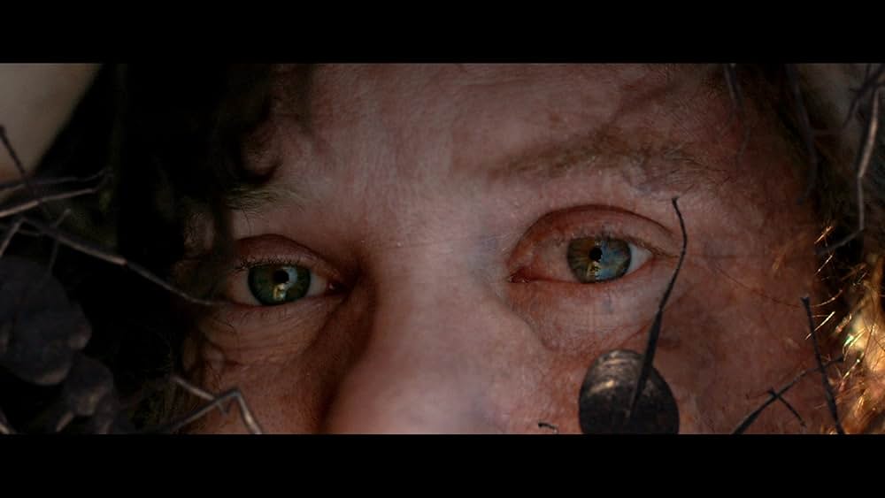 Dead Ant（原題）の画像