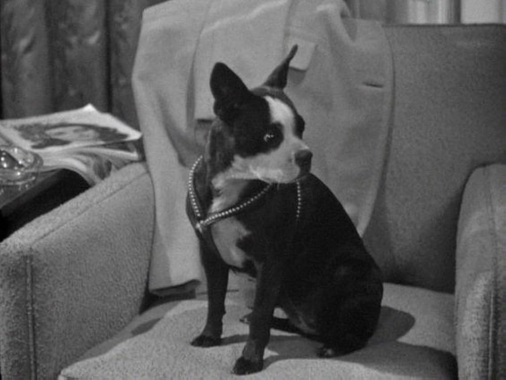 When Strangers Marry（原題）の画像