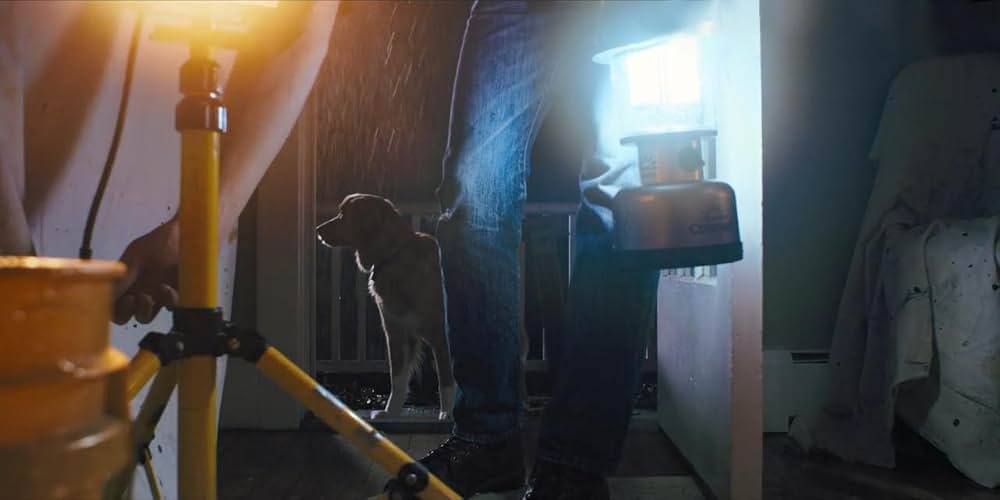 Good Boy（原題）の画像