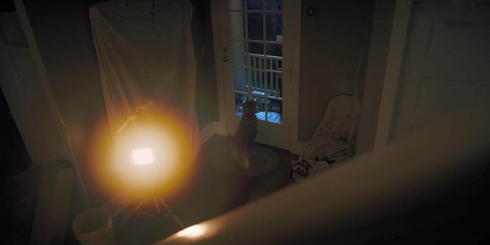 Good Boy（原題）の画像